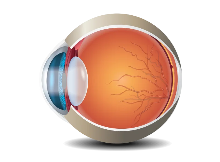 eye img
